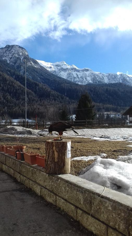B&B Nido Delle Aquile Monclassico Exterior photo